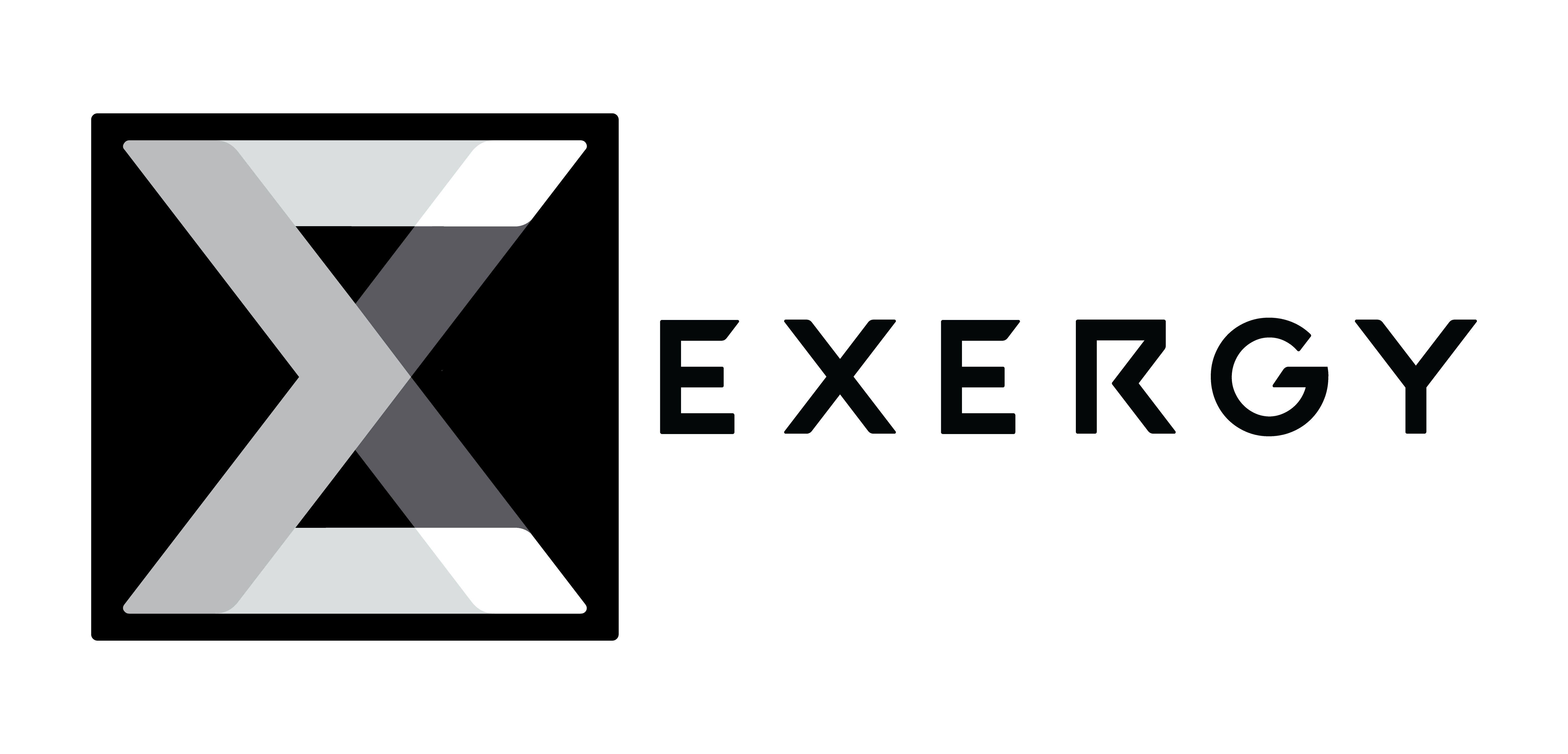 Founder, Exergy LLC