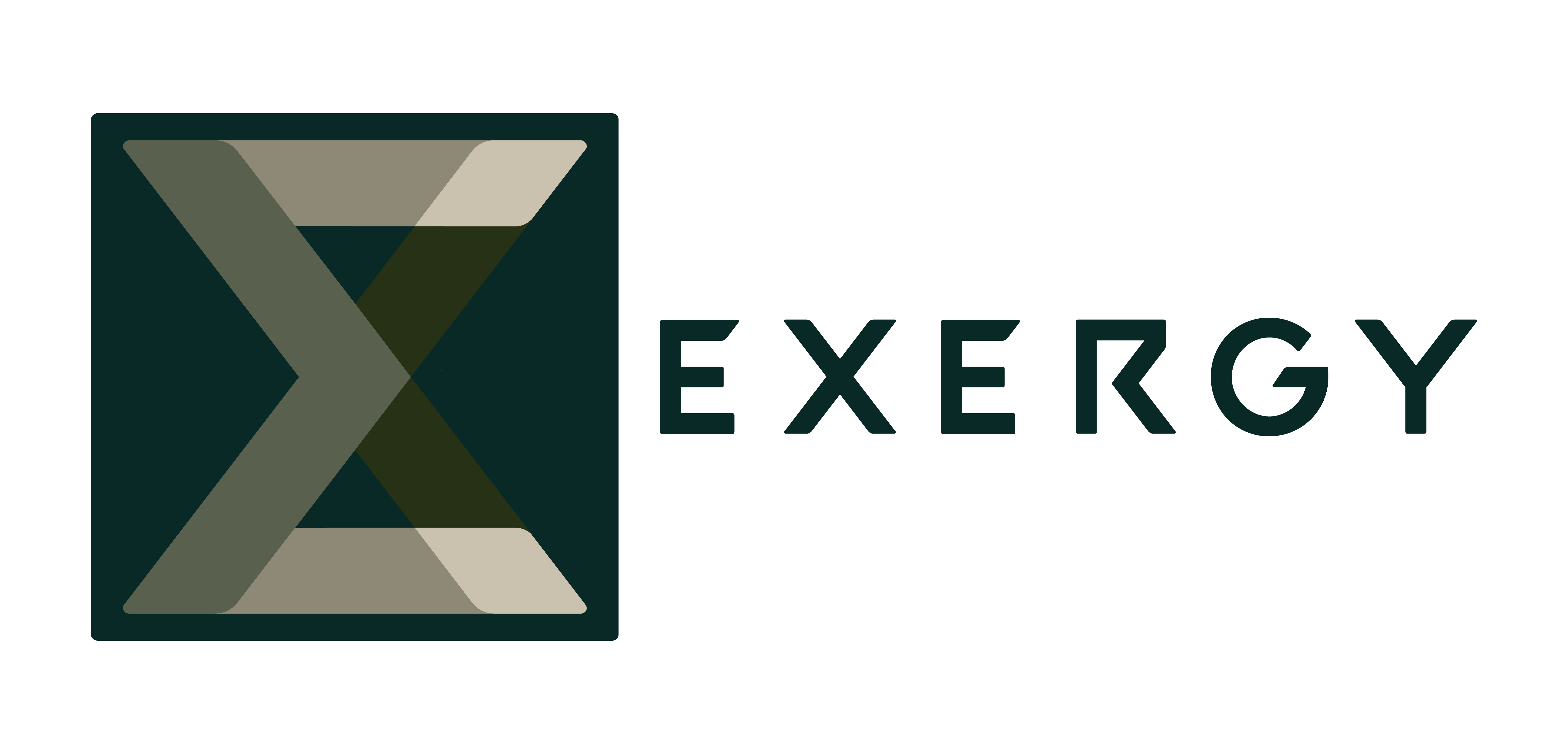 Founder & CEO, Exergy LLC